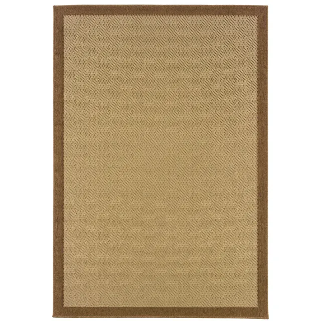 Lanai Brown Border Outdoor Rug (525D)